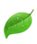 網(wǎng)站建設